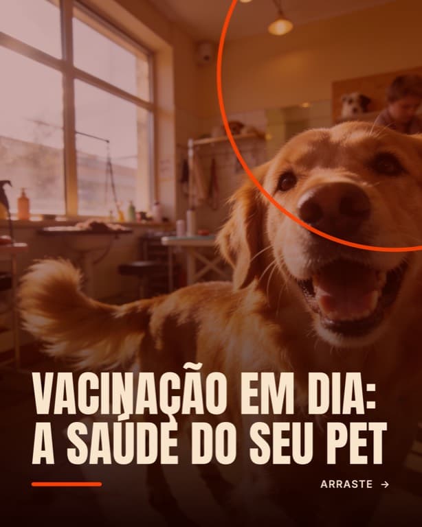 Exemplo de capa de carrossel: Vacinação em dia