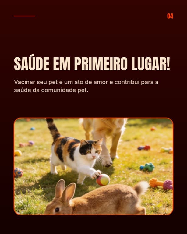 Tela do carrossel: Saúde em primeiro lugar