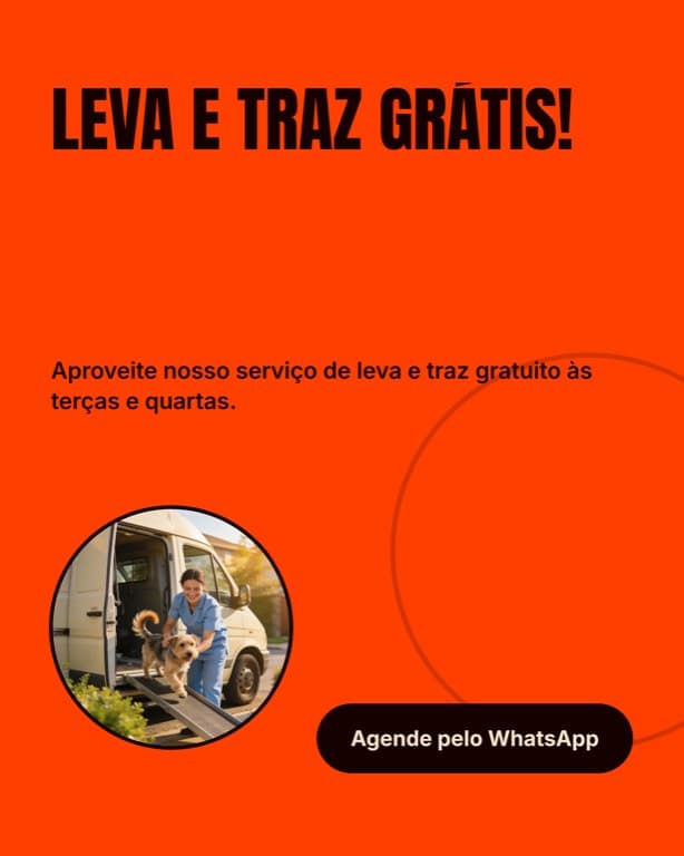 Tela do carrossel: Leva e traz grátis, agende pelo WhatsApp